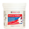 Muscle Power 150 cápsulas - Músculo - Recuperación - de Oropharma-Versele Laga