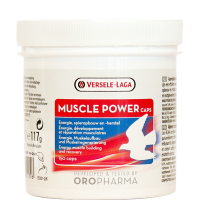 Muscle Power 150 cápsulas - Músculo - Recuperación - de Oropharma-Versele Laga Muscle Power 150 cápsulas - Músculo - Recuperación - de Oropharma-Versele Laga