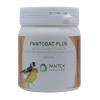 Pantobac Plus 500gr - Recuperación - Estrés - Flora intestinal - Pantex