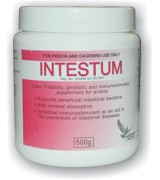 Intestum de Medpet Intestum de Medpet