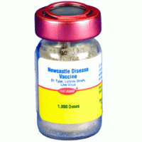  Vacuna - Paramixovirosis LA SOTA - PMV Vacuna