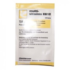 Multivitamin EB12 - 6 sobres de Chevita